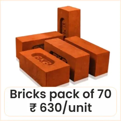 Bricks pack of 70
