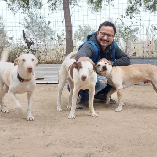 Dogs Truesewa (2)