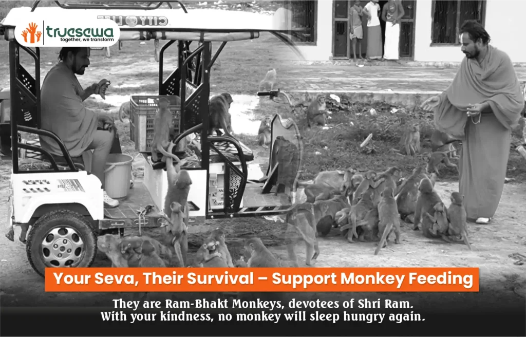 Truesewa Monkey Feeding