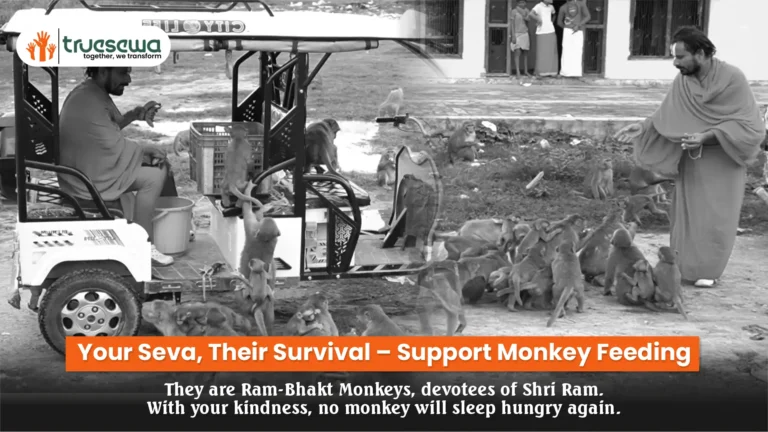 Your Seva, Their Survival โ Support Monkey Feeding